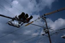 The electric wires (2)