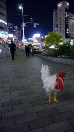 Un poulet  dans la ville (1)