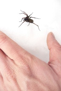 p1040885copie p1040885copie